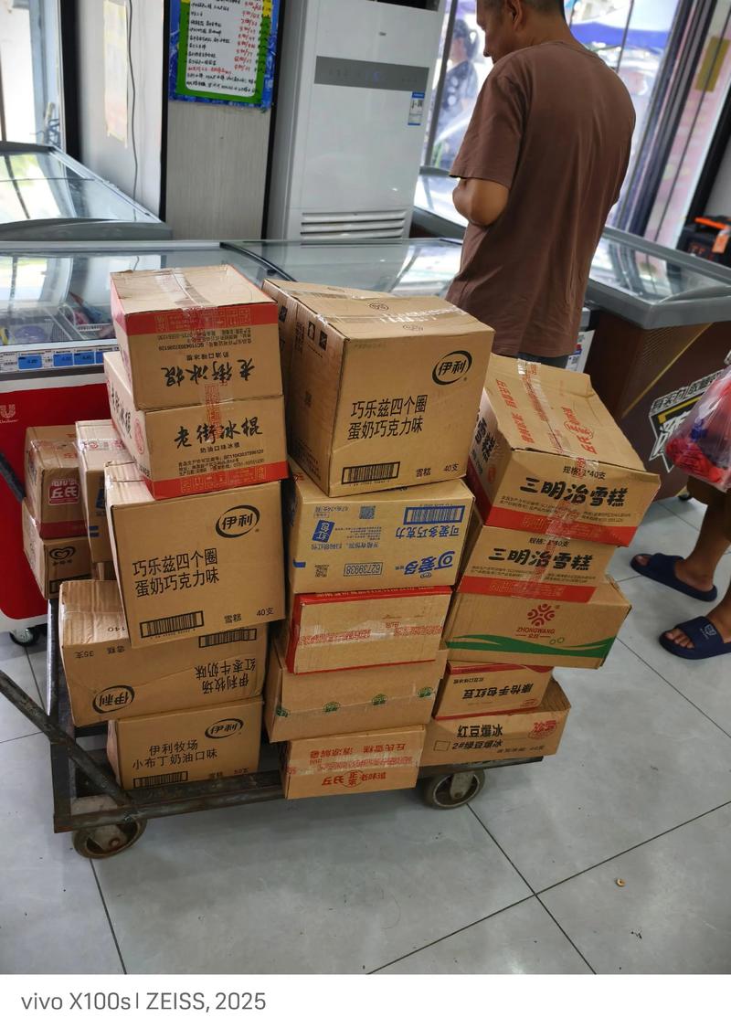 家居用品：打造温馨小窝的必备良品